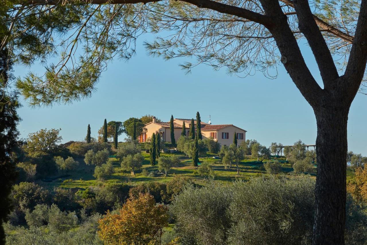 Poggio Tamantino, Villa Con Piscina In Maremma Poggio Cavallo Buitenkant foto