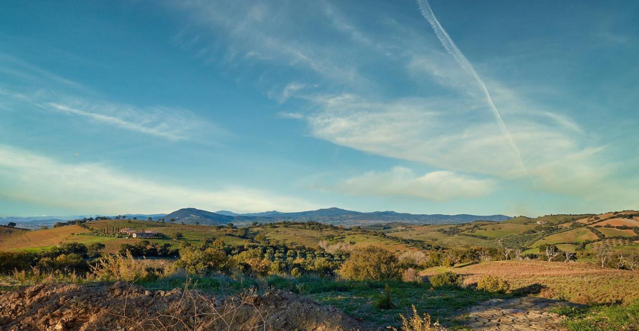 Poggio Tamantino, Villa Con Piscina In Maremma Poggio Cavallo Buitenkant foto