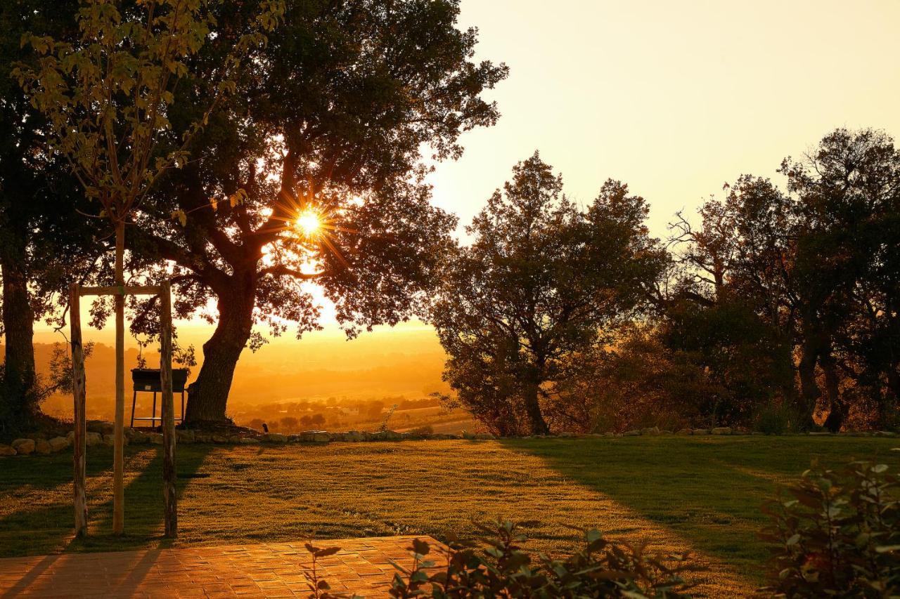 Poggio Tamantino, Villa Con Piscina In Maremma Poggio Cavallo Buitenkant foto